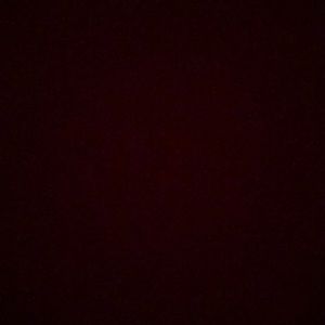 Meet your Posher, Katelyn